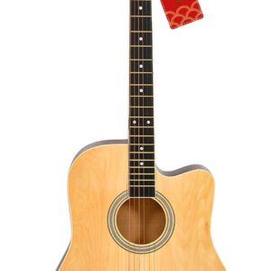 UAPAN Acoustic Guitar 41 Inch Rosewood Guitar Cutaway with Dual Action Truss Rod, Bag, 2 Picks